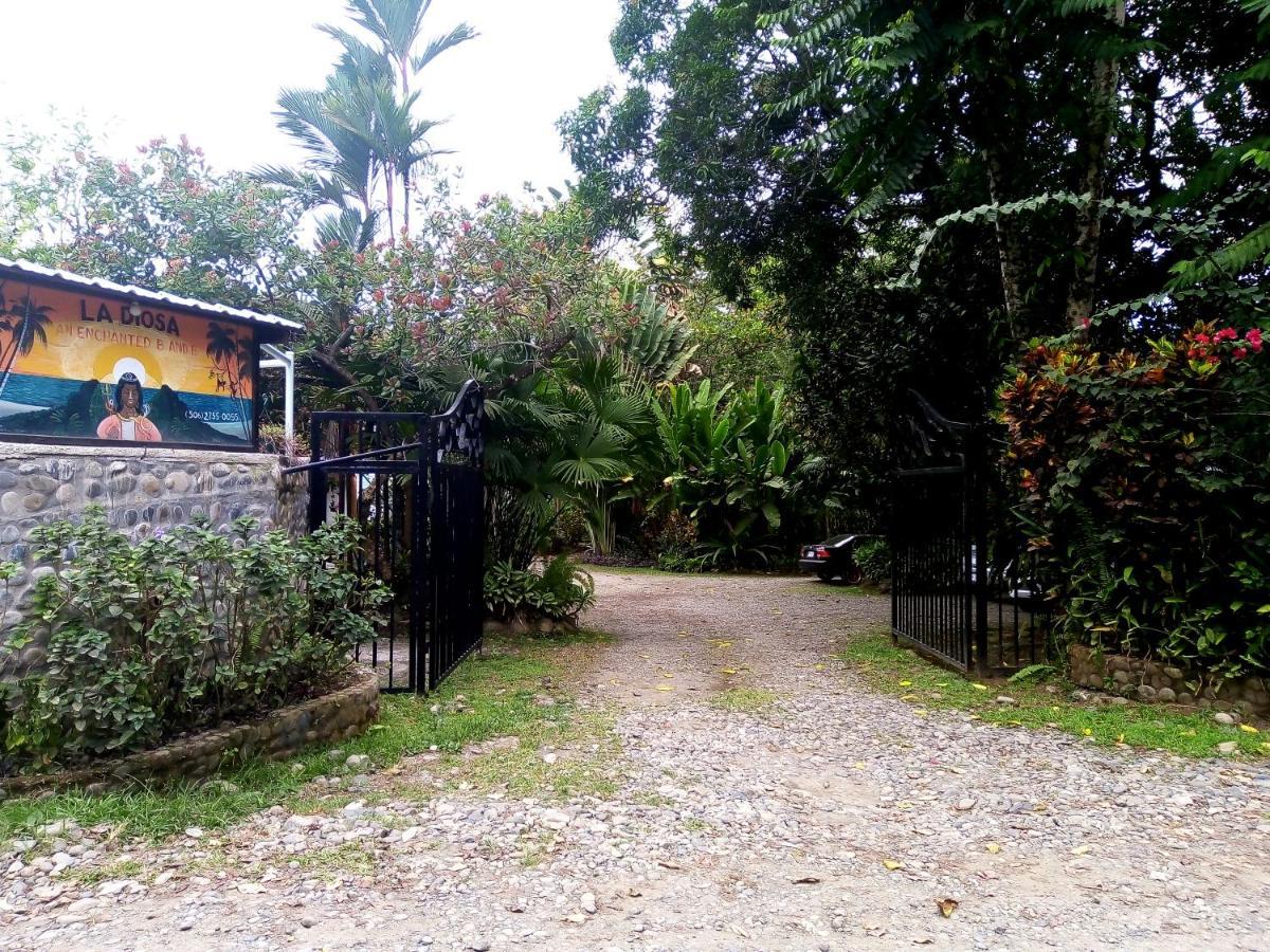 Hotel La Diosa Cahuita Luaran gambar