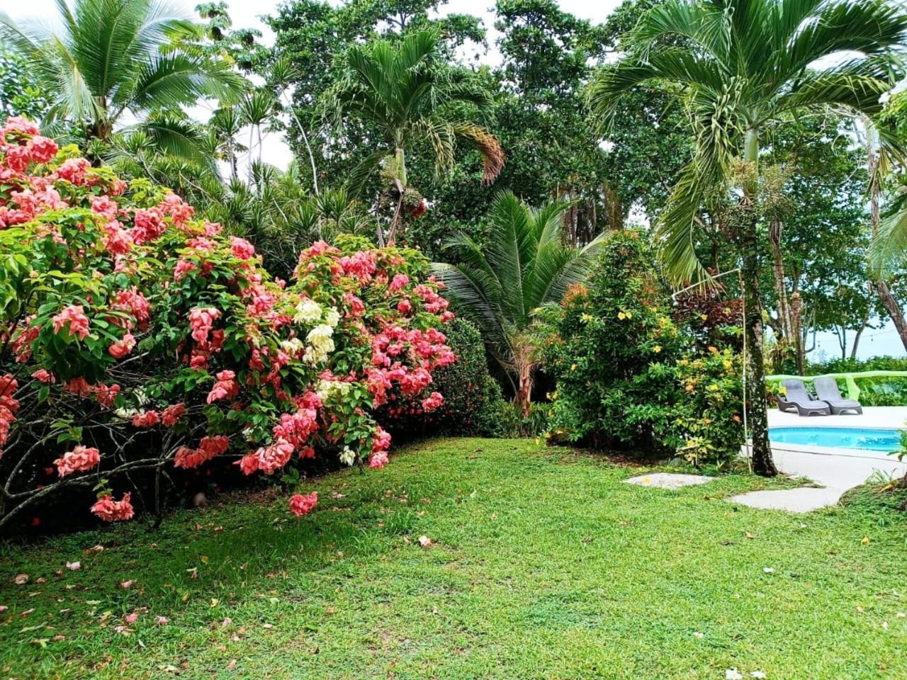 Hotel La Diosa Cahuita Luaran gambar