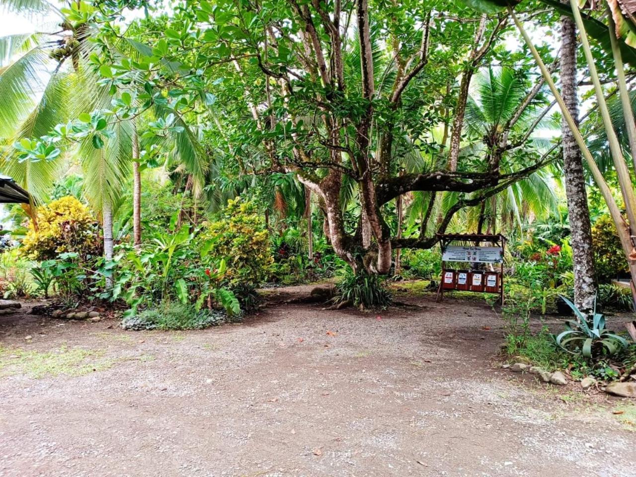 Hotel La Diosa Cahuita Luaran gambar