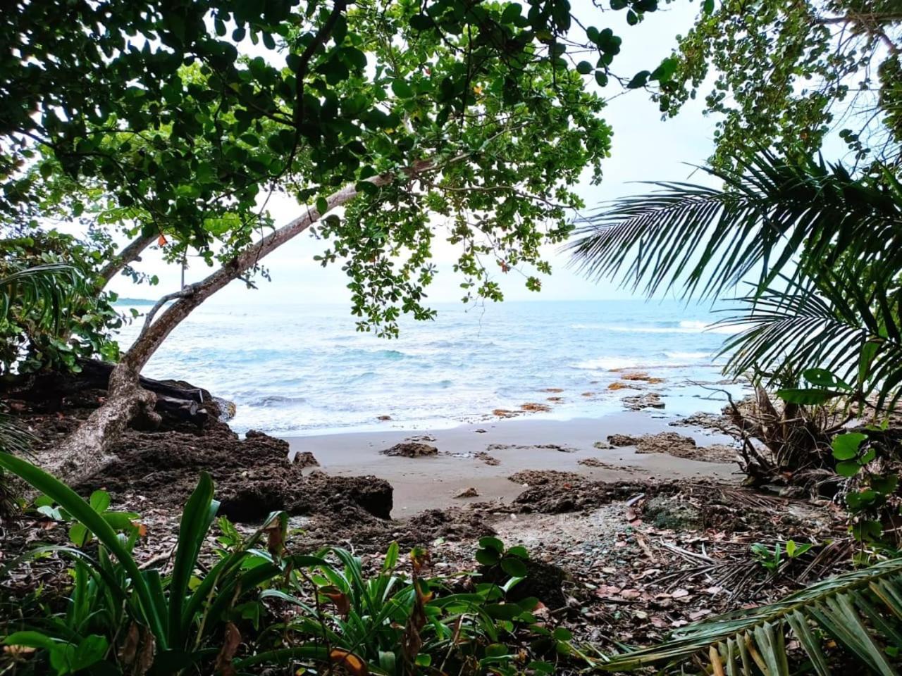 Hotel La Diosa Cahuita Luaran gambar