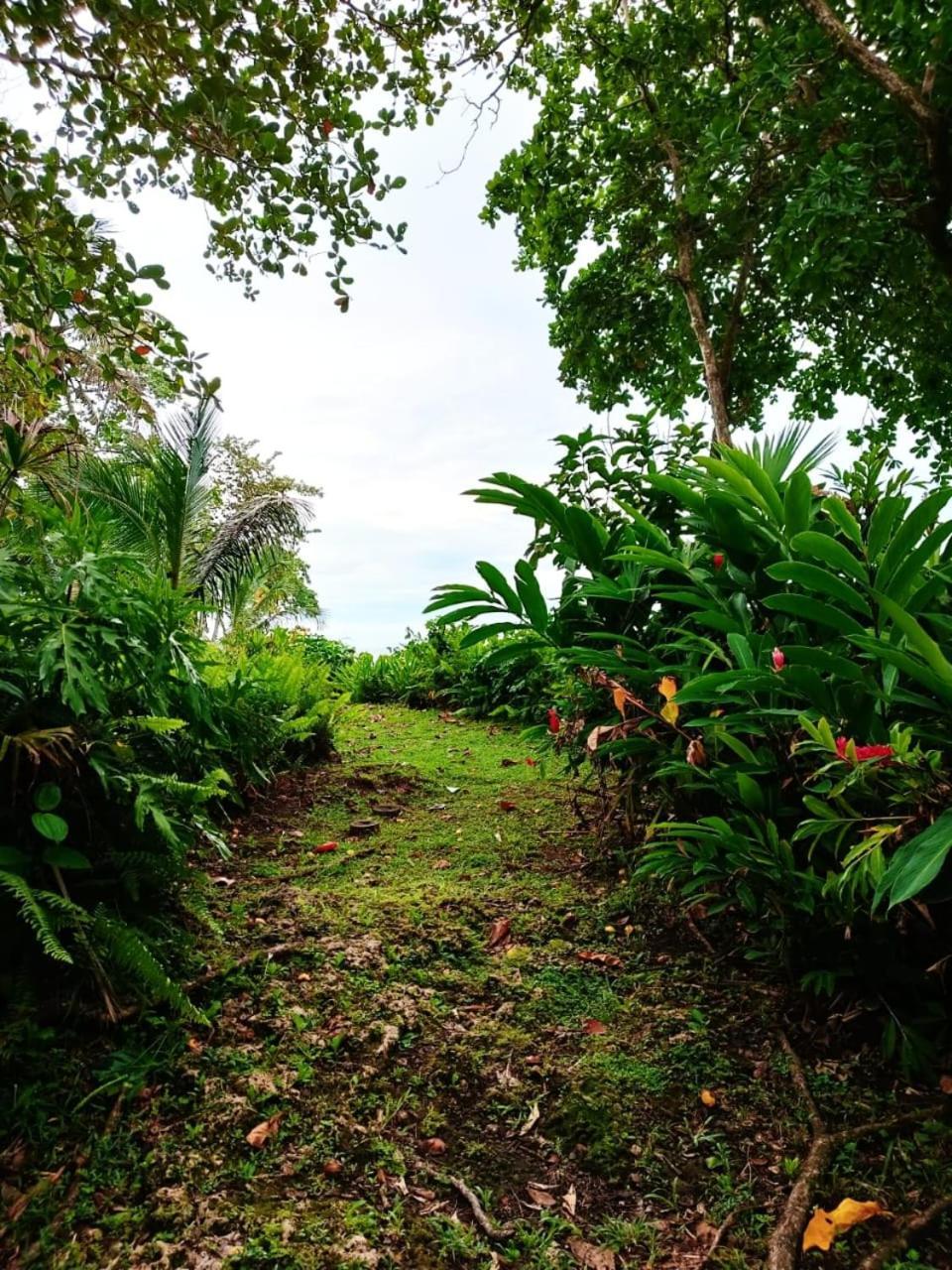 Hotel La Diosa Cahuita Luaran gambar