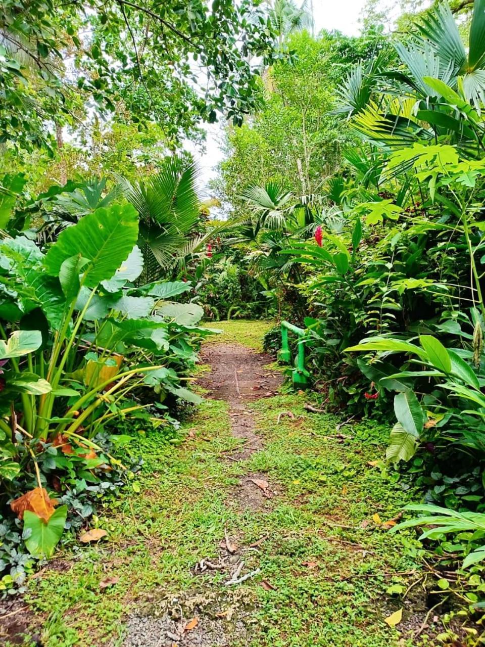 Hotel La Diosa Cahuita Luaran gambar