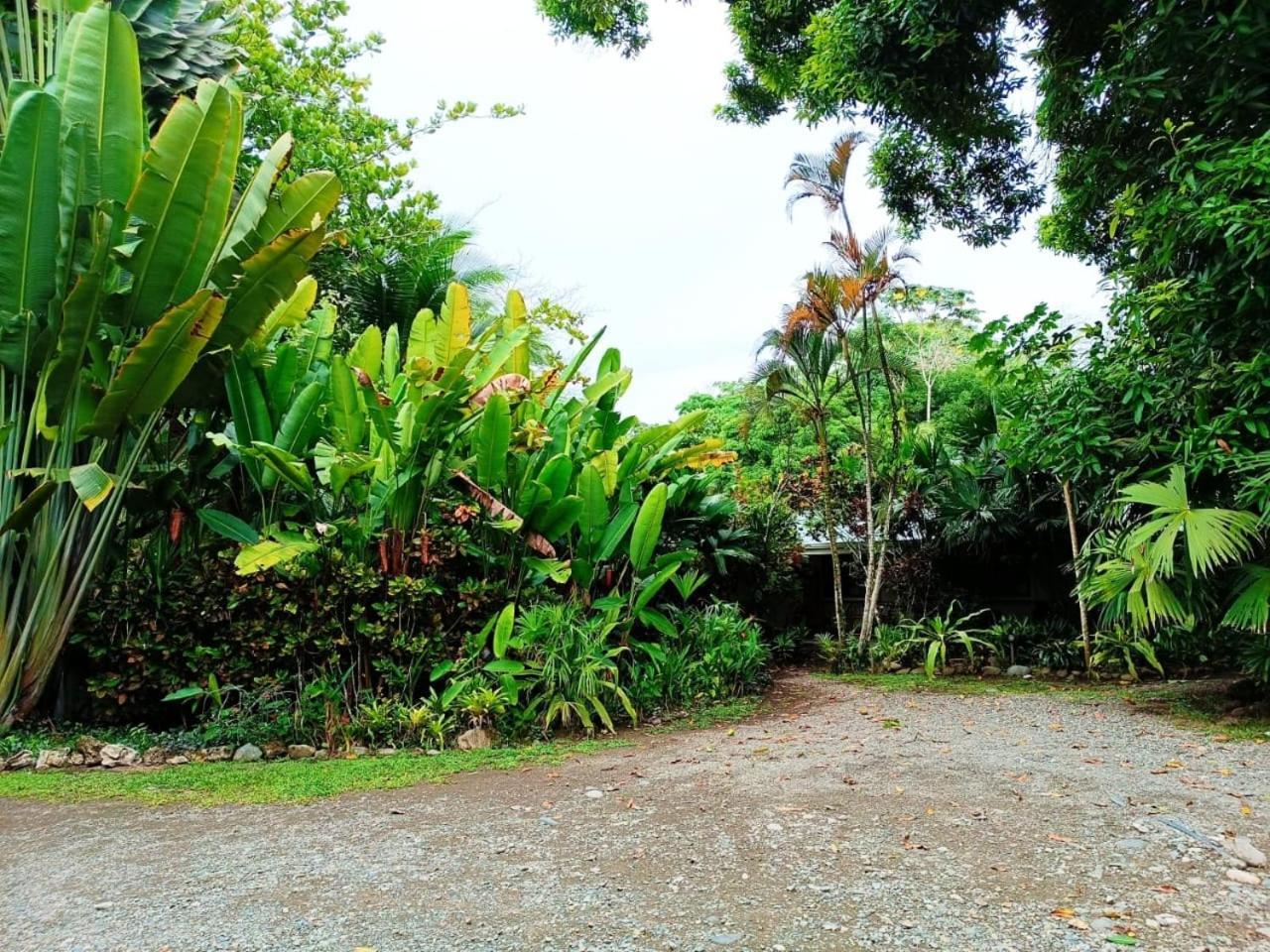 Hotel La Diosa Cahuita Luaran gambar