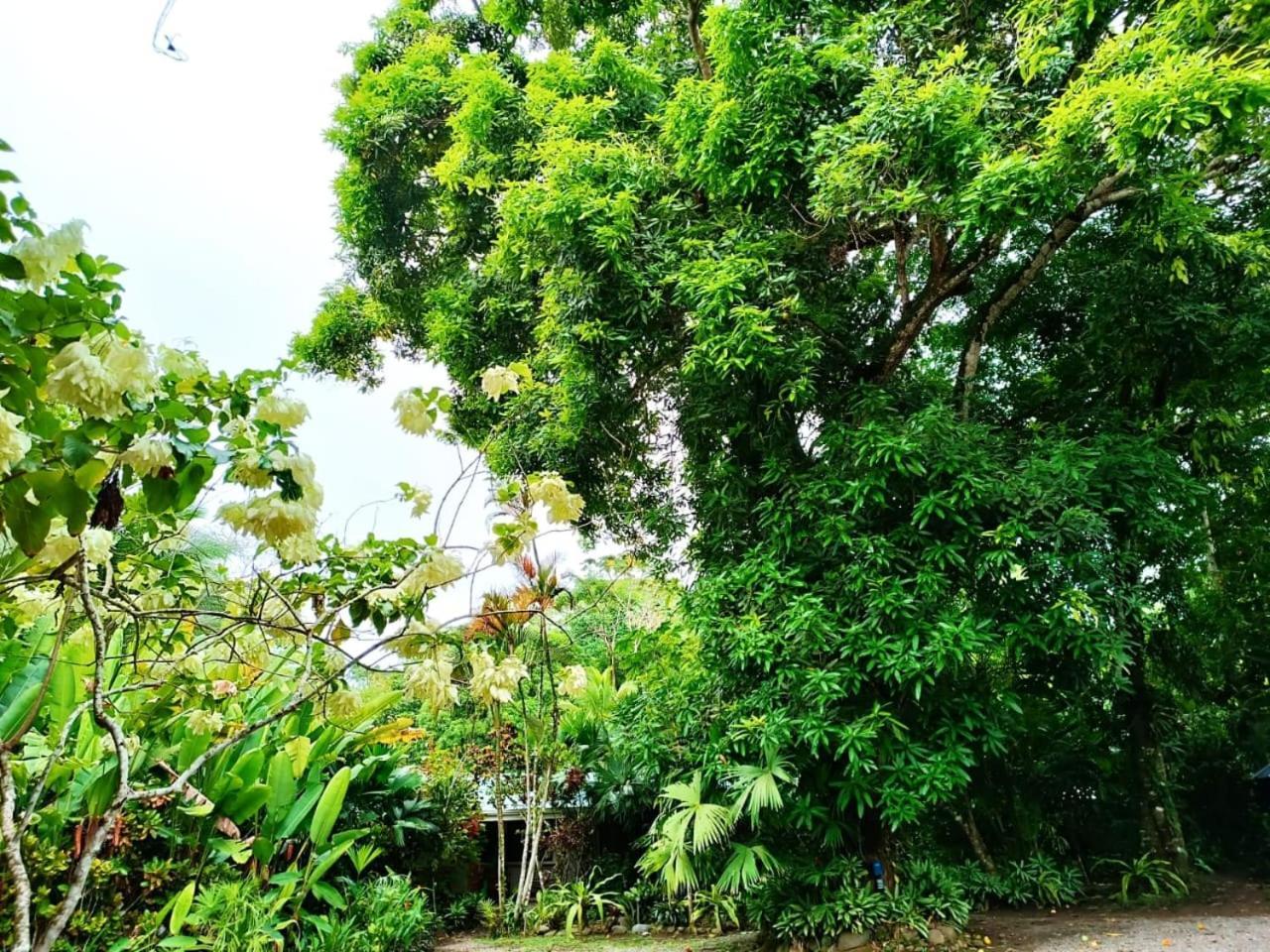 Hotel La Diosa Cahuita Luaran gambar